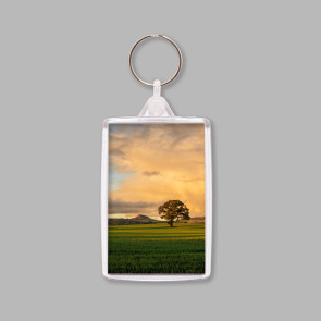 To buy a print or any of the below please click on the images